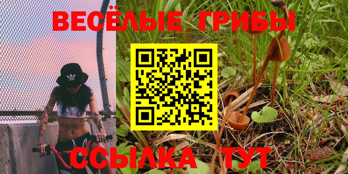 Туймазы  Псилоцибиновые грибы Psilocybine cubensis  Вход с VPN 